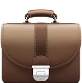 💼