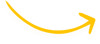 Seta 05